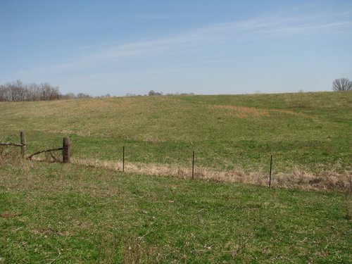 Property photo 37 - 137 Acres in 2 Tracts - 64 Tillable Acres, Potential Building Sites, Hunting